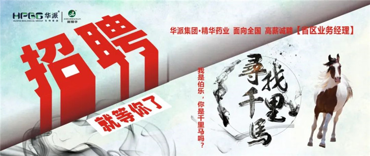 寻找千里马 | 华派集团&bull;EMC易倍药业面 向全国高薪诚聘【省区业务经理】 我是伯乐，你是千里马吗？
