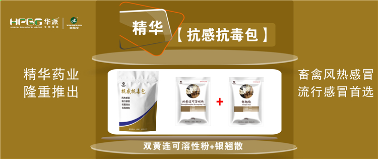 科普：几种常见畜禽感冒与盛行性感冒的防控 |【抗感抗毒包】抗菌消炎、解热排毒、抗毒增免，畜禽风热感冒、盛行感冒首选!