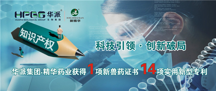 科技引领&bull;创新破局 | 华派集团&bull;EMC易倍药业获得1项新兽药证书 14项实用新型专利