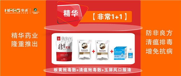科普：非洲猪瘟防控措施 |【极度1+1】防非良方, 清瘟排毒、增免抗病，加快猪瘟抗体产生!